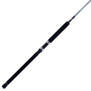 PENN Prevail® III Boat Spinning