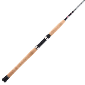 PENN Prevail® III Inshore Casting