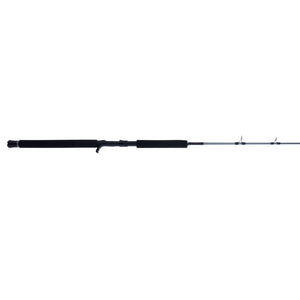 PENN Prevail® III Jig Conventional