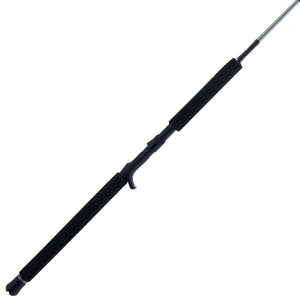PENN Prevail® III Jig Conventional