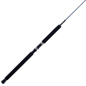 PENN Prevail® III Jig Spinning