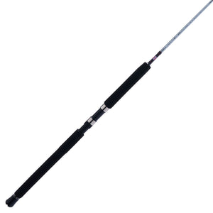 PENN Prevail® III Jig Spinning