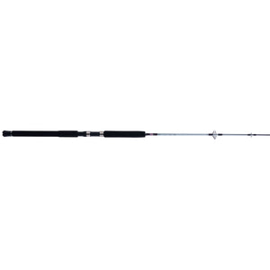 PENN Prevail® III Jig Spinning