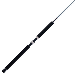PENN Prevail® III Jig Spinning