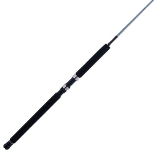 PENN Prevail® III Jig Spinning