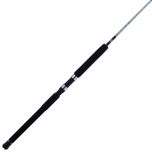 PENN Prevail® III Jig Spinning