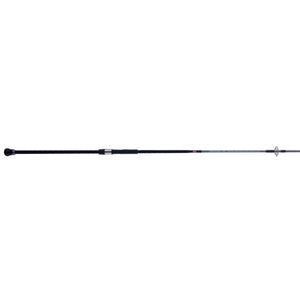 PENN Prevail® III Surf Spinning