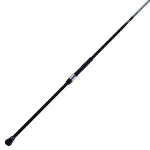 PENN Prevail® III Surf Spinning