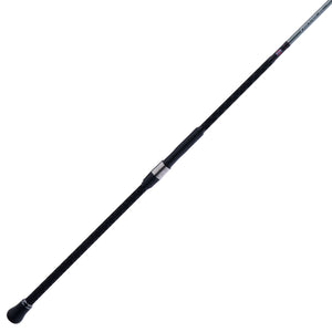 PENN Prevail® III Surf Spinning