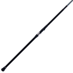 PENN Prevail® III Surf Spinning