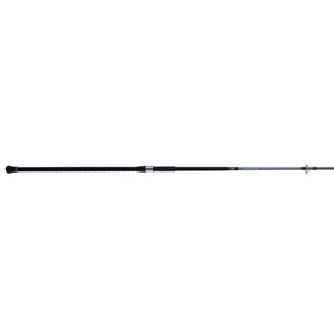 PENN Prevail® III Surf Spinning