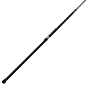 PENN Prevail® III Surf Spinning