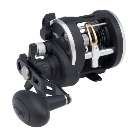 Penn - Rival Level Wind Reel