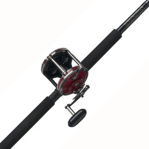 PENN Senator® Conventional Combo