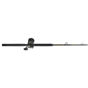 PENN Squall® II Level Wind Conventional Combo