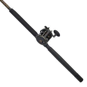 PENN Squall® II Level Wind Conventional Combo