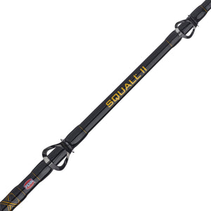 PENN Squall® II Level Wind Conventional Combo