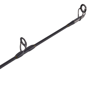 PENN Squall® II Lever Drag Conventional Combo