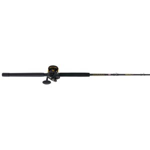 PENN Squall® II Lever Drag Conventional Combo