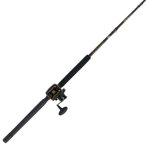 PENN Squall® II Lever Drag Conventional Combo