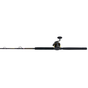 PENN Squall® II Lever Drag Conventional Combo