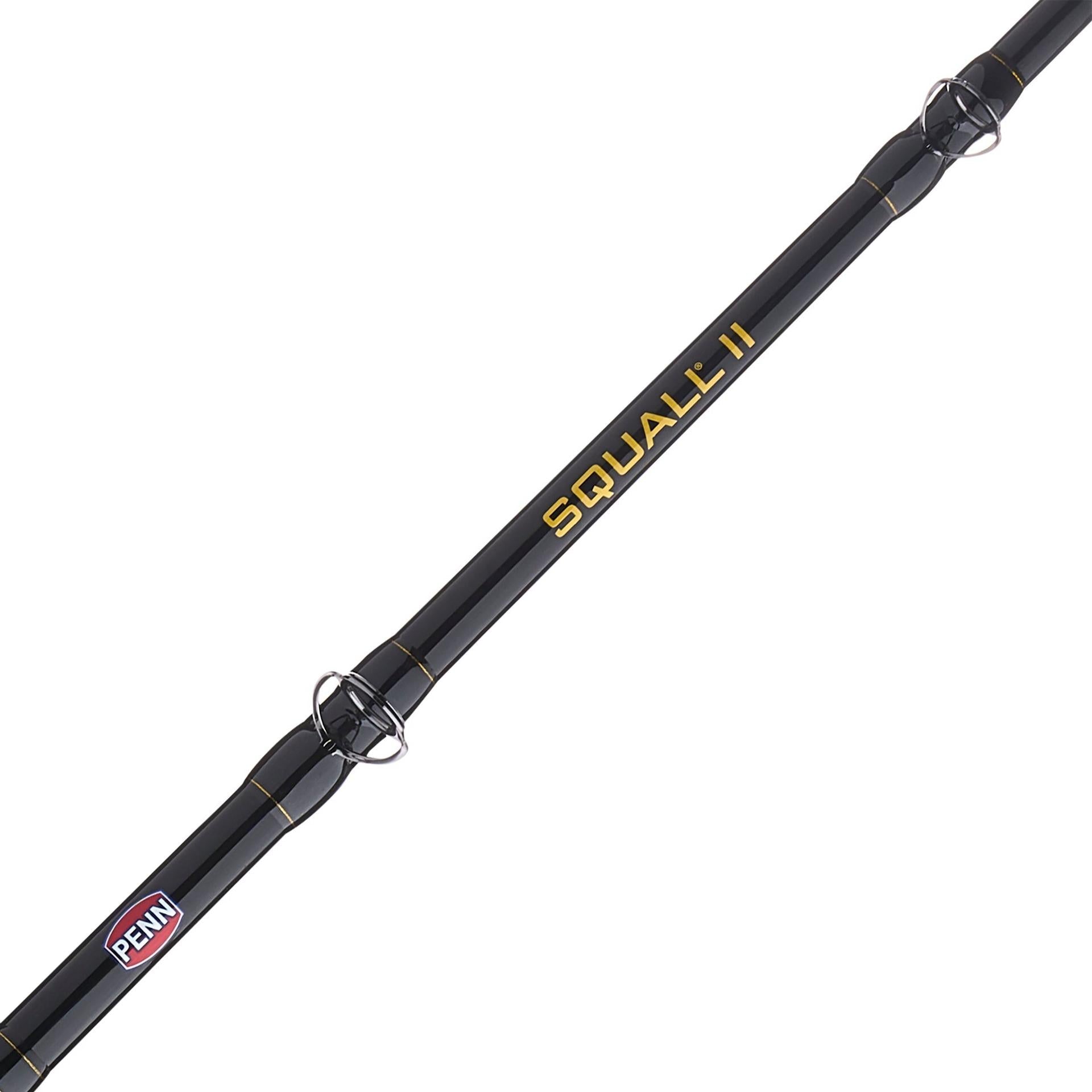 PENN 6'6 Squall II Level Wind Saltwater Rod and Reel Fishing Combo,  1-Piece Fishing Rod, Black/Gold