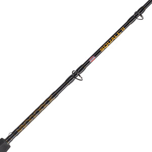 PENN Squall® II Star Drag Conventional Combo