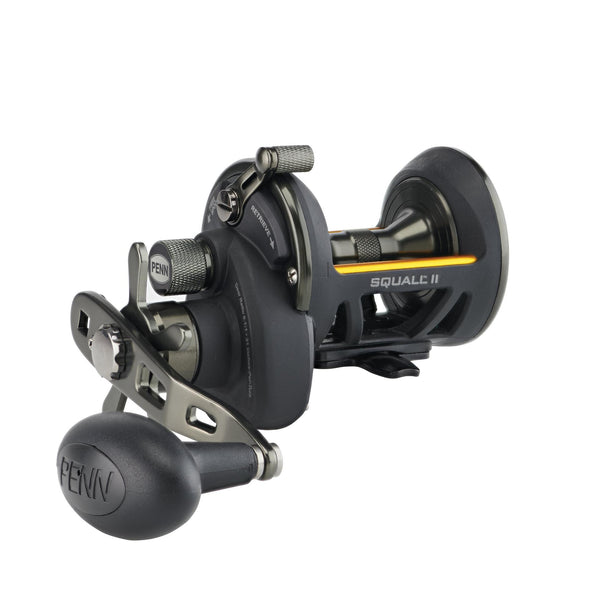 Penn Squall II Star Drag Reel Fishing Tackle and Bait