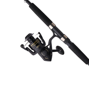 PENN Wrath® II Spinning Combo