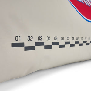 PENN Ballast Catch Cooler