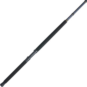 PENN Battalion® III Boat Conv West Coast