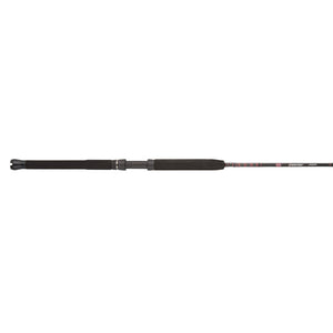 PENN Rampage® Jig Spinning