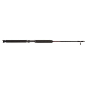 PENN Rampage® Jig Spinning