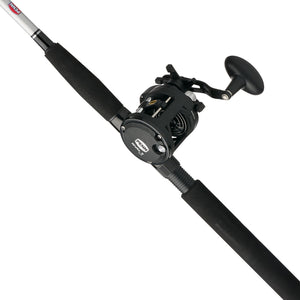 PENN Rival™ II Level Wind Combo