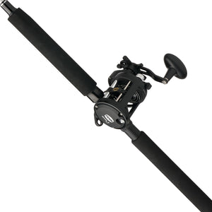 PENN Rival™ II Level Wind Combo