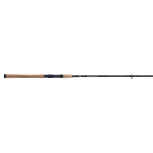 PENN Squadron® IV Inshore Spinning