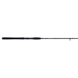 PENN Squadron® IV Inshore Spinning