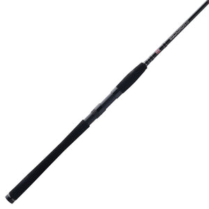 PENN Squadron® IV Inshore Spinning