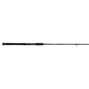 PENN Squadron® IV Inshore Spinning