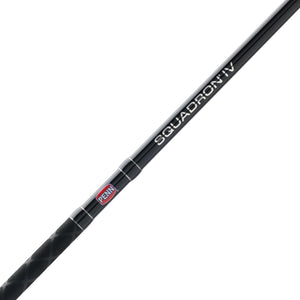 PENN Squadron® IV Surf Spinning