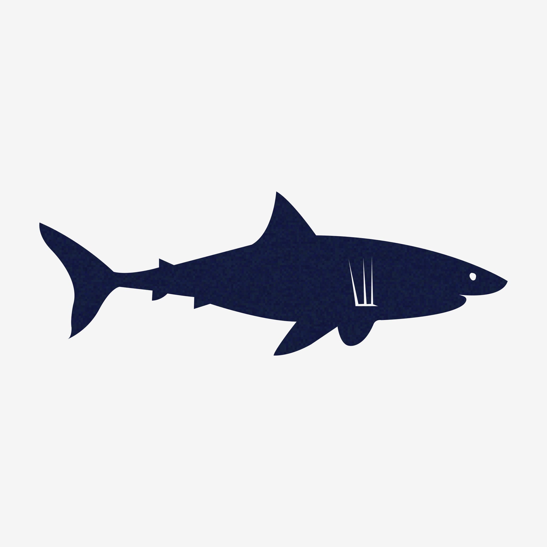 Navy blue shark silhouette on a white background