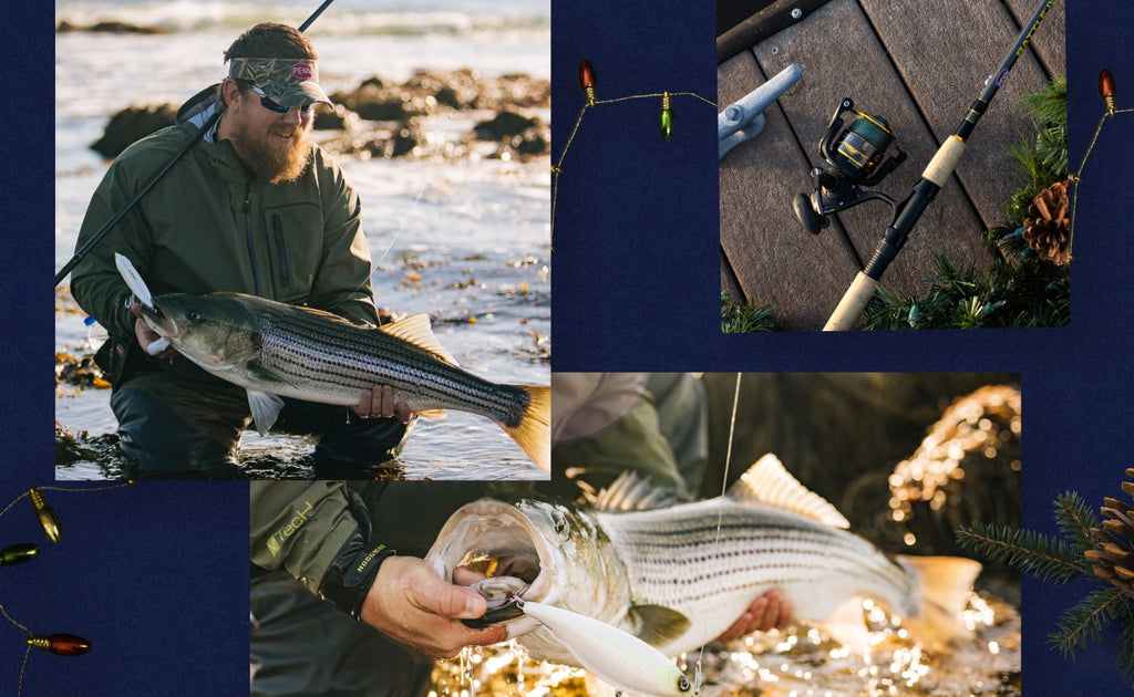 Collage of a man fishing with striped bass, fishing equipment, and close-ups of the fish.